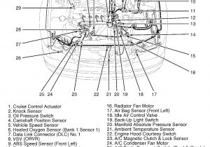 1997 toyota Corolla Wiring Diagram Pdf 2e694b toyota Corolla Engine Wiring Diagram Wiring Resources