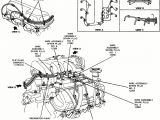 1998 ford Explorer Spark Plug Wire Diagram 98 Explorer Engine Wiring Diagram Wiring Diagram User 1998 ford Explorer Spark Plug Wire Diagram 98 Explorer Engine Wiring Diagram Wiring Diagram User