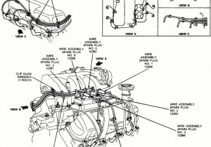 1998 ford Explorer Spark Plug Wire Diagram 98 Explorer Engine Wiring Diagram Wiring Diagram User