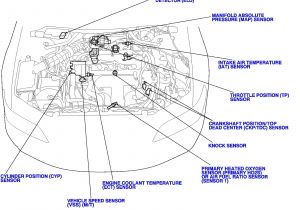 1998 Honda Accord Wiring Diagram Honda Accord Cooling System Diagram Wiringschematicnethonda Accord 1998 Honda Accord Wiring Diagram Honda Accord Cooling System Diagram Wiringschematicnethonda Accord
