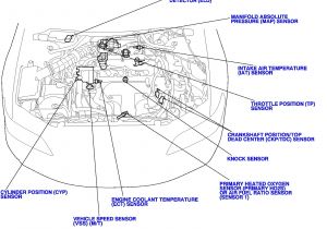 1998 Honda Accord Wiring Diagram Honda Accord Cooling System Diagram Wiringschematicnethonda Accord