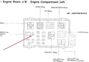 1998 Lexus Es300 Radio Wiring Diagram Lexus Es300 Fuse Diagram Wiring Diagram