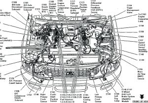 1998 Subaru forester Wiring Diagram 2009 Subaru Engine Wiring Harness Wiring Diagram Blog 1998 Subaru forester Wiring Diagram 2009 Subaru Engine Wiring Harness Wiring Diagram Blog