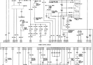 1998 toyota Tacoma Wiring Diagram Free toyota Wiring Diagrams Wiring Diagram List