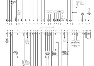 1998 toyota Tacoma Wiring Diagram toyota Tacoma Electrical Wiring Diagram Lights Wiring Diagram Technic 1998 toyota Tacoma Wiring Diagram toyota Tacoma Electrical Wiring Diagram Lights Wiring Diagram Technic
