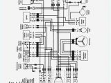 1998 Yamaha Warrior 350 Wiring Diagram Vy 7214 Wiring Diagram In Addition Yamaha Warrior 350 1998 Yamaha Warrior 350 Wiring Diagram Vy 7214 Wiring Diagram In Addition Yamaha Warrior 350