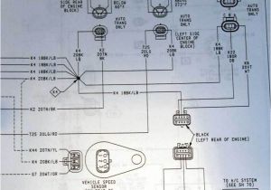 1999 Dodge Ram Headlight Switch Wiring Diagram Ts 0827 42re Transmission Wiring Diagram Download Diagram 1999 Dodge Ram Headlight Switch Wiring Diagram Ts 0827 42re Transmission Wiring Diagram Download Diagram