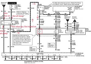 1999 ford F150 Fuel Pump Wiring Diagram 99 F150 Fuel Wiring Diagram Wiring Diagram Name 1999 ford F150 Fuel Pump Wiring Diagram 99 F150 Fuel Wiring Diagram Wiring Diagram Name