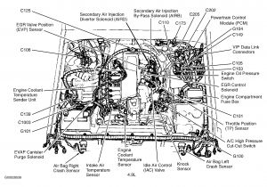 1999 ford Ranger Pcm Wiring Diagram Fuse Box Diagram as Well 1996 ford Explorer Engine Control Module