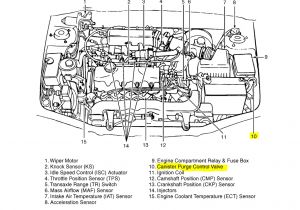 1999 Hyundai Elantra Wiring Diagram Xt 6244 2014 Hyundai Elantra Engine Diagram Wiring Diagram