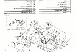 1999 Miata Wiring Diagram 94 Miata Engine Diagram Wiring Diagrams Favorites