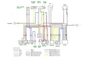 1999 Suzuki King Quad 300 Wiring Diagram Suzuki Quadrunner 160 Key Wiring Electrical Schematic Wiring Diagram