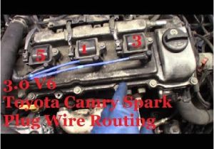 1999 toyota Camry Spark Plug Wire Diagram toyota Sienna Spark Plug Wiring Diagram Wiring Diagram Standard