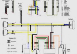 1999 Yamaha Grizzly 600 Wiring Diagram 20 Fresh Yamaha Warrior 350 Wiring Diagram Concept Motorcycle Series 1999 Yamaha Grizzly 600 Wiring Diagram 20 Fresh Yamaha Warrior 350 Wiring Diagram Concept Motorcycle Series