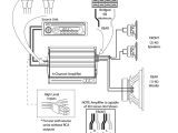 2 Channel Amp Wiring Diagram Coustic Amp Wiring Diagram Wiring Diagrams Bib
