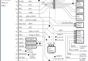 2 Channel Car Amp Wiring Diagram 5 Channel Car Amplifier Wiring Diagram Wiring Diagram Center