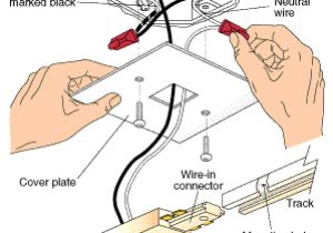2 Circuit Track Lighting Wiring Diagram Track Lighting Wiring Diagram Wiring Diagram Perfomance