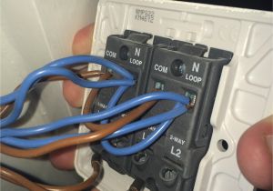 2 Gang 2 Way Dimmer Switch Wiring Diagram 2 Way Dimmer Wiring Diagram Albertasafety org 2 Gang 2 Way Dimmer Switch Wiring Diagram 2 Way Dimmer Wiring Diagram Albertasafety org