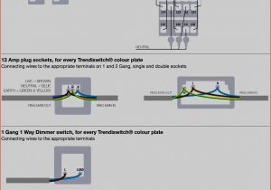 2 Gang 2 Way Dimmer Switch Wiring Diagram Three Way Switch with Dimmer Wiring Diagram Ecourbano Server Info