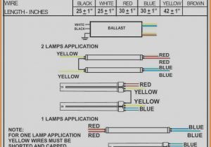 2 Lamp Ballast Wiring Diagram T5 Ballast Wiring Book Diagram Schema