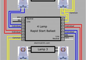 2 Lamp Ballast Wiring Diagram Wire Diagram 3 Lamp T5 Wiring Diagram Database Blog