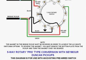 2 Pole 3 Position Rotary Switch Wiring Diagram 3 Position Selector Switch Wiring Diagram Faint Repeat24 2 Pole 3 Position Rotary Switch Wiring Diagram 3 Position Selector Switch Wiring Diagram Faint Repeat24