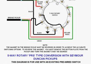 2 Pole 3 Position Rotary Switch Wiring Diagram 3 Position Selector Switch Wiring Diagram Faint Repeat24