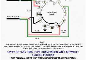 2 Pole Rotary Switch Wiring Diagram Posistion Selector Switch Wiring Diagram 2 2 Pole Rotary Switch Wiring Diagram Posistion Selector Switch Wiring Diagram 2