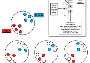 2 Pole Rotary Switch Wiring Diagram Shadoweclipse13 S Master Schematic Page Offsetguitars Com 2 Pole Rotary Switch Wiring Diagram Shadoweclipse13 S Master Schematic Page Offsetguitars Com