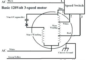 2 Speed 3 Phase Motor Wiring Diagram Ceiling Fan Two Speed Motor Wiring Diagram Wiring Diagram Rules