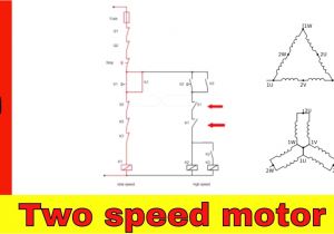 2 Speed Electric Motor Wiring Diagram 2 Speed Motor Wiring Diagram Manual E Book
