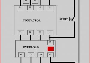 2 Speed Motor Wiring Diagram 3 Phase 2 Speed Starter Wiring Diagram Wiring Diagram Database 2 Speed Motor Wiring Diagram 3 Phase 2 Speed Starter Wiring Diagram Wiring Diagram Database