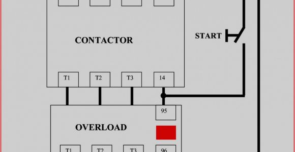 2 Speed Motor Wiring Diagram 3 Phase 2 Speed Starter Wiring Diagram Wiring Diagram Database