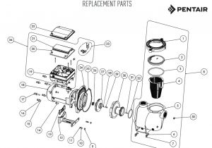 2 Speed Pump Wiring Diagram Pentair 2 Speed Pump Wiring Diagram Gallery 2 Speed Pump Wiring Diagram Pentair 2 Speed Pump Wiring Diagram Gallery