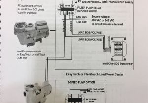 2 Speed Pump Wiring Diagram Pentair Superflo 2 Speed Wiring Diagram 2 Speed Pump Wiring Diagram Pentair Superflo 2 Speed Wiring Diagram