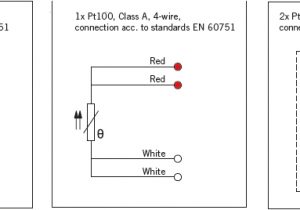 2 Wire Pt100 Connection Diagram Threaded Temperature Sensor without Cooling Neck
