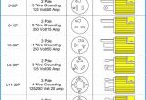 20 Amp Twist Lock Plug Wiring Diagram 20 Amp Plug Wiring Diagram Wiring Diagram Autovehicle