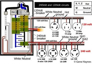 20 Amp Twist Lock Plug Wiring Diagram 20 Amp Wiring Diagram Wiring Diagram
