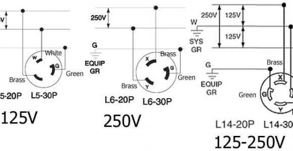 20 Amp Twist Lock Plug Wiring Diagram 20a 125 250v Wire Diagram Wiring Diagram Fascinating
