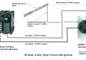 20 Amp Twist Lock Plug Wiring Diagram Oven Outlet Wiring Bestsurvivalknifereviewss Com