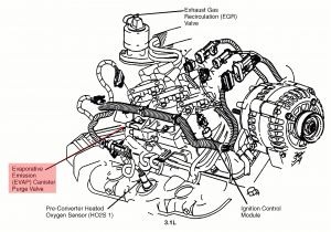 2000 Chevy Malibu Wiring Diagram 2000 3 1 Malibu Engine Wiring Diagram Wiring Diagram Rows
