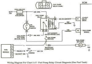 2000 Chevy S10 Fuel Pump Wiring Diagram 89 S10 Wiring Diagram Wiring Diagram Autovehicle 2000 Chevy S10 Fuel Pump Wiring Diagram 89 S10 Wiring Diagram Wiring Diagram Autovehicle