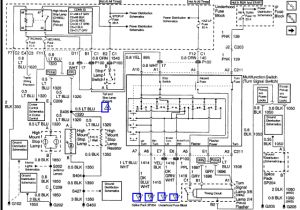 2000 Chevy S10 Wiring Diagram 2002 Chevy S10 Wiring Diagram Stop Lite Wiring Diagram Load 2000 Chevy S10 Wiring Diagram 2002 Chevy S10 Wiring Diagram Stop Lite Wiring Diagram Load