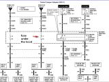 2000 ford F150 Radio Wiring Diagram 2000 ford Wiring Diagram Wiring Diagram Show