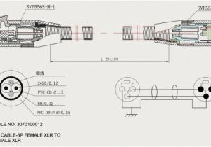 2000 ford Focus Spark Plug Wire Diagram 2000 ford Focus Spark Plug Wire Diagram 2000 ford Focus Spark Plug Wire Diagram 2000 ford Focus Spark Plug Wire Diagram