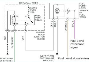 2000 Gmc Sierra Fuel Pump Wiring Diagram 2001 S10 Fuel Pump Wiring Harness Location Wiring Diagram Site