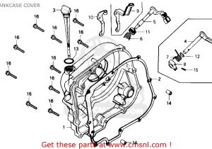 2000 Honda Cbr 600 F4 Wiring Diagram Stripped Down Cbr600f4 Wiring Diagram