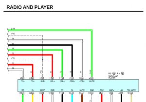 2000 Lexus Gs300 Stereo Wiring Diagram Lexus Es300 Radio Wiring Diagram My Wiring Diagram 2000 Lexus Gs300 Stereo Wiring Diagram Lexus Es300 Radio Wiring Diagram My Wiring Diagram