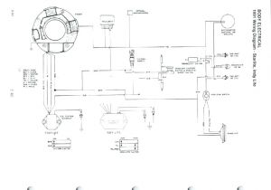 2000 Polaris Trailblazer 250 Wiring Diagram Wiring Diagram Polaris Wiring Diagram Blog