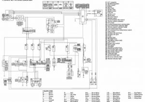 2000 Yamaha Big Bear 400 Wiring Diagram Wiring Diagram for Yamaha Big Bear 400 Wiring Diagram Article Review 2000 Yamaha Big Bear 400 Wiring Diagram Wiring Diagram for Yamaha Big Bear 400 Wiring Diagram Article Review